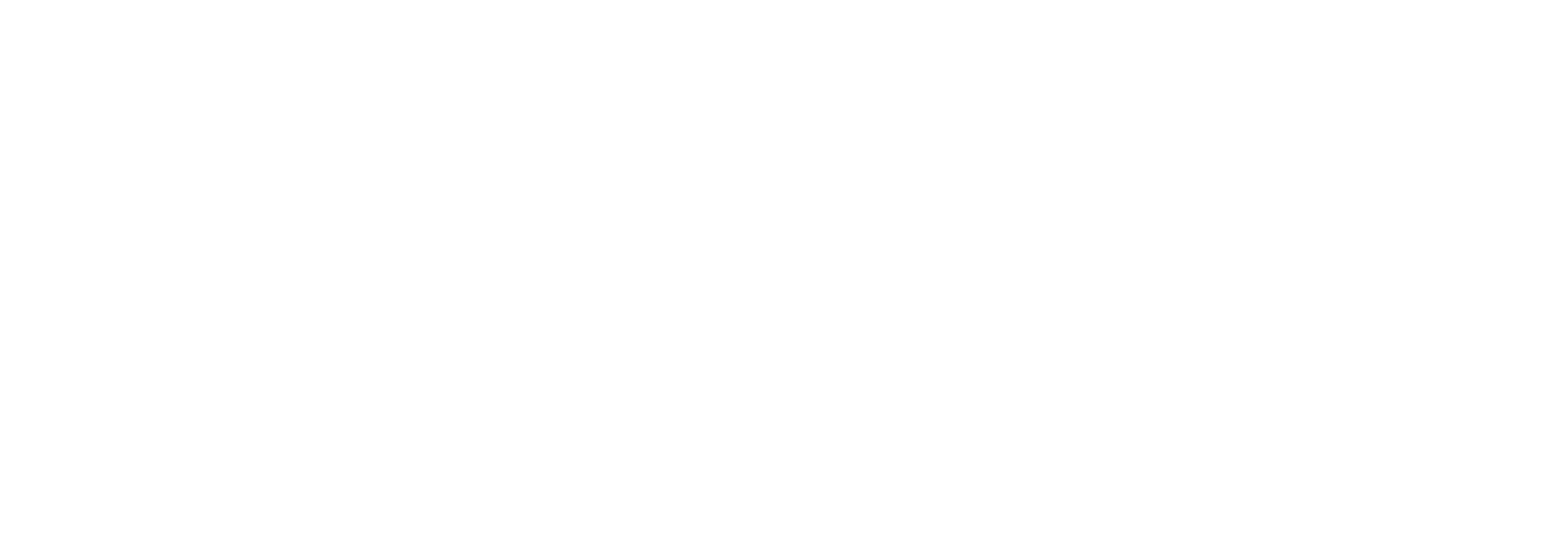 THE FRAGA COMPANY